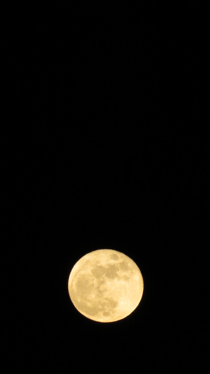 full moon moon night free photo