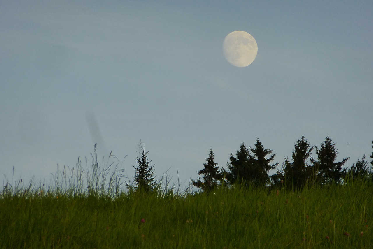 full moon dusk meadow free photo