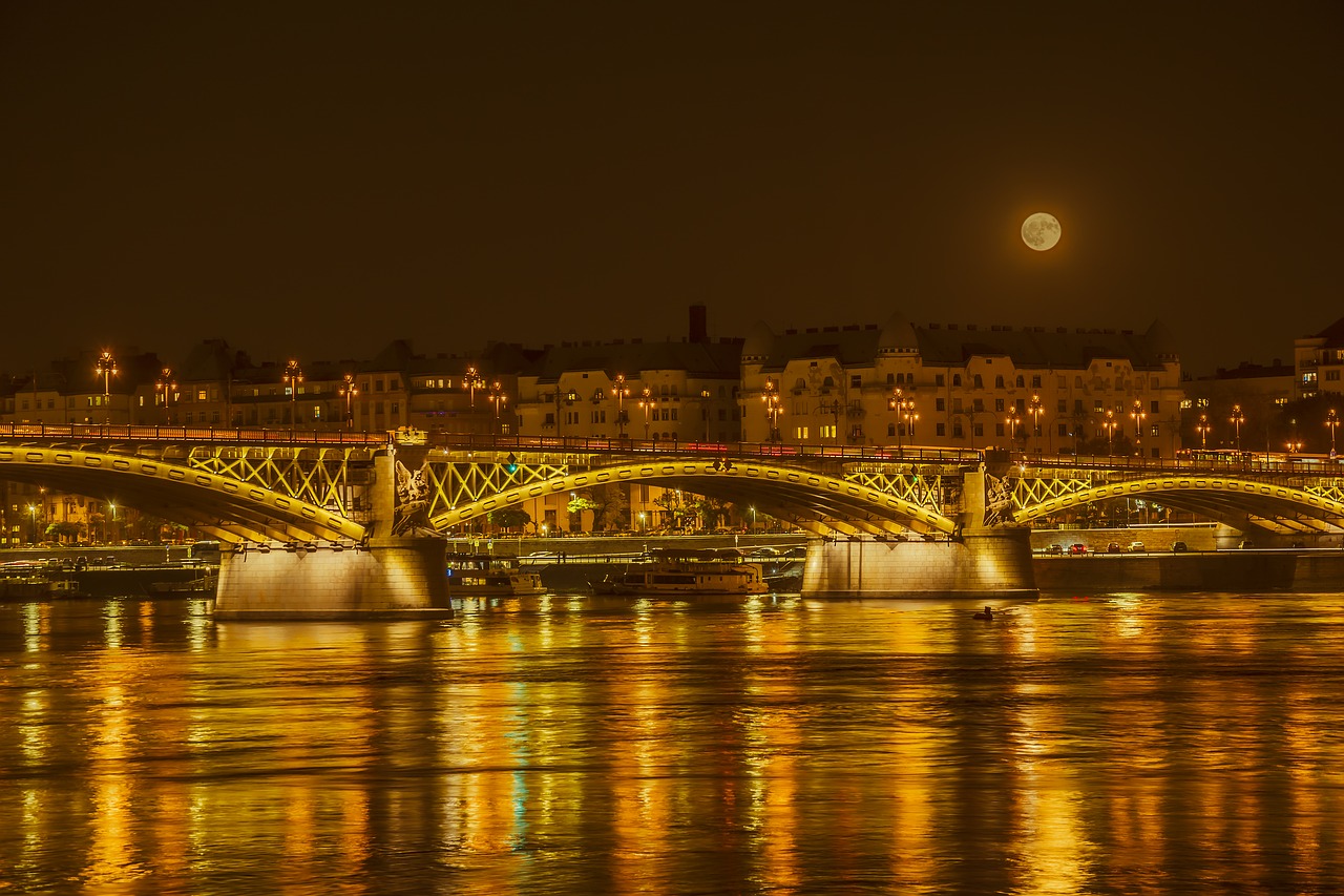 full moon  bridge  danube free photo