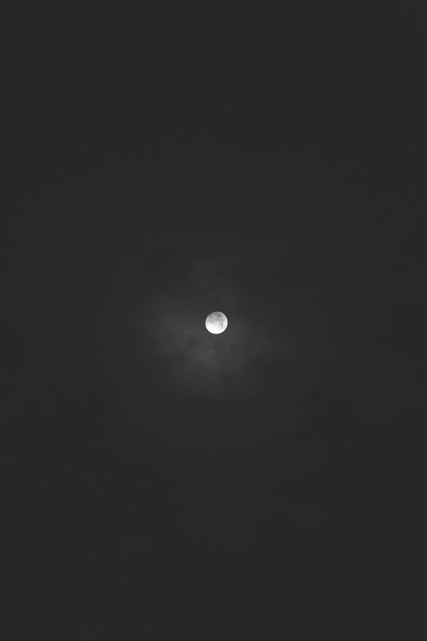 full moon moon nightsky free photo