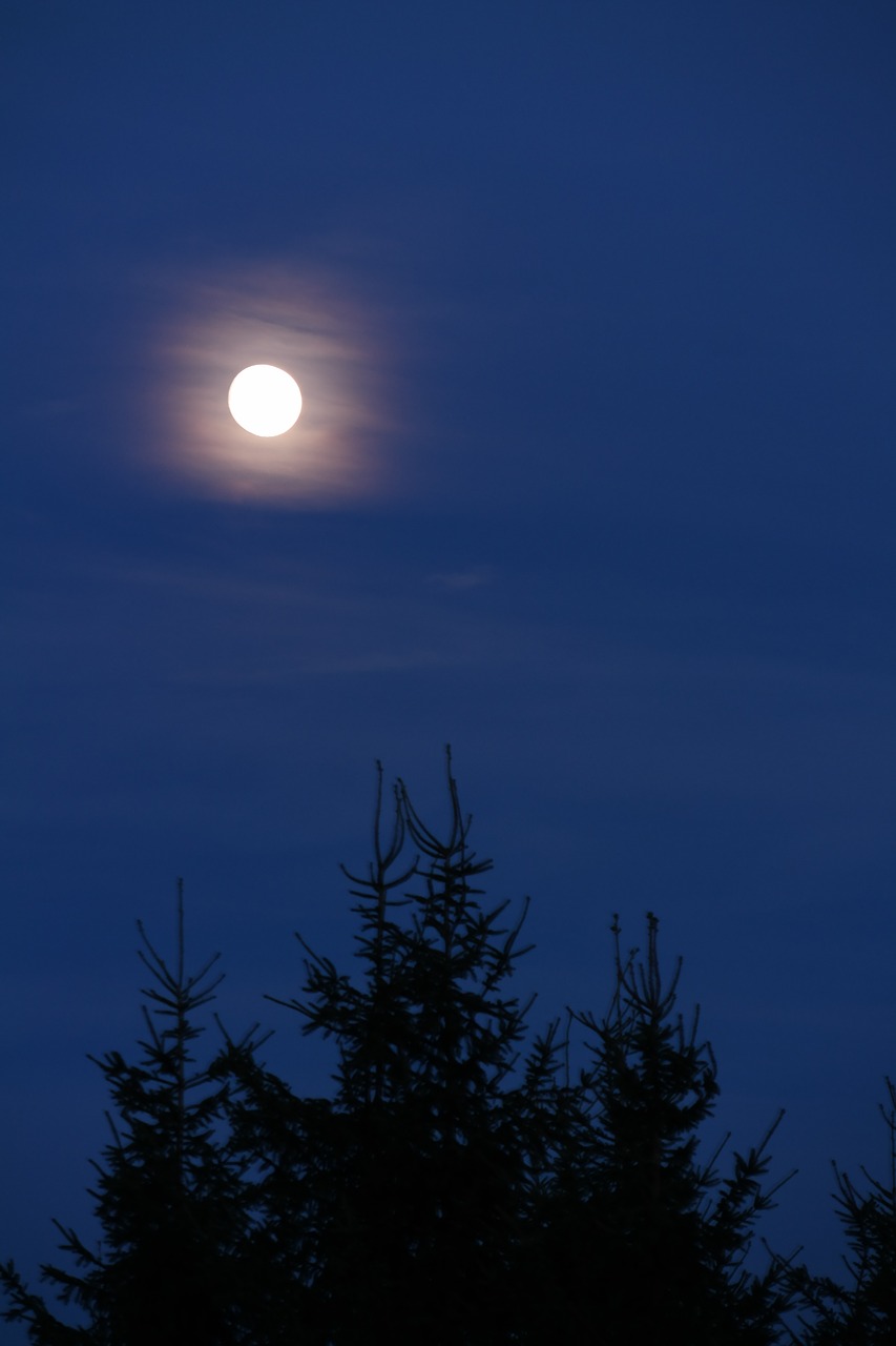 full moon  moon  night free photo