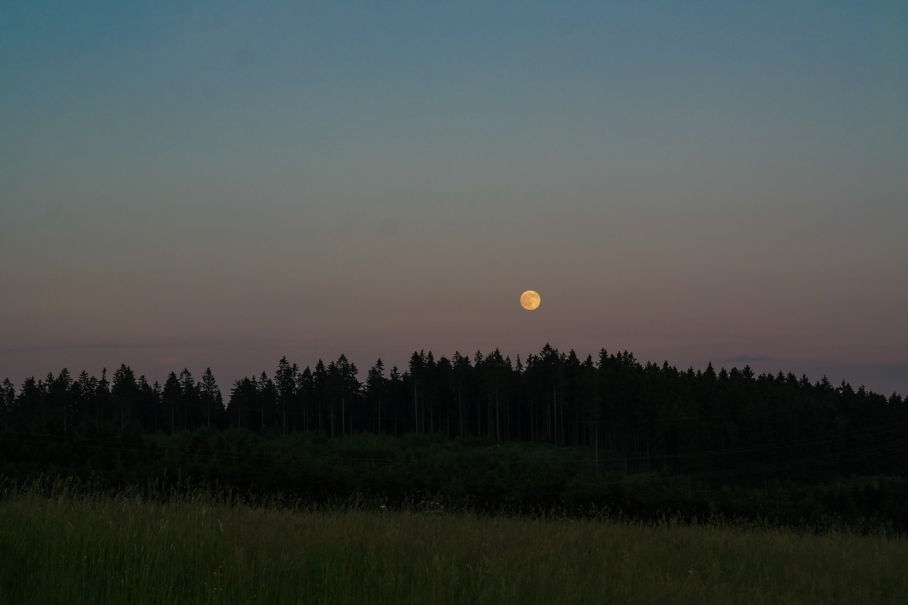 full moon  abendstimmung  moonlight free photo