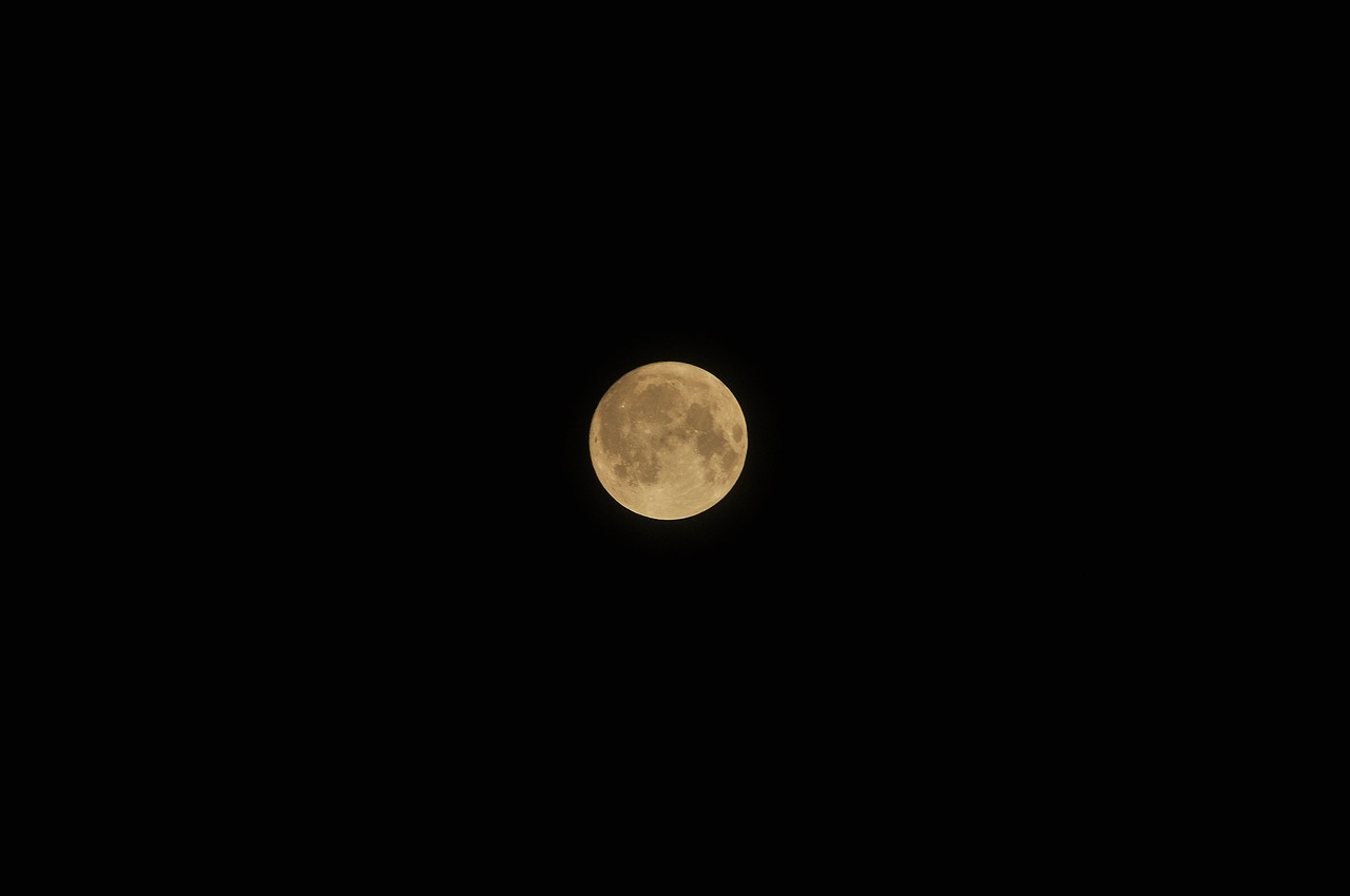 full moon  moon  moonlight free photo