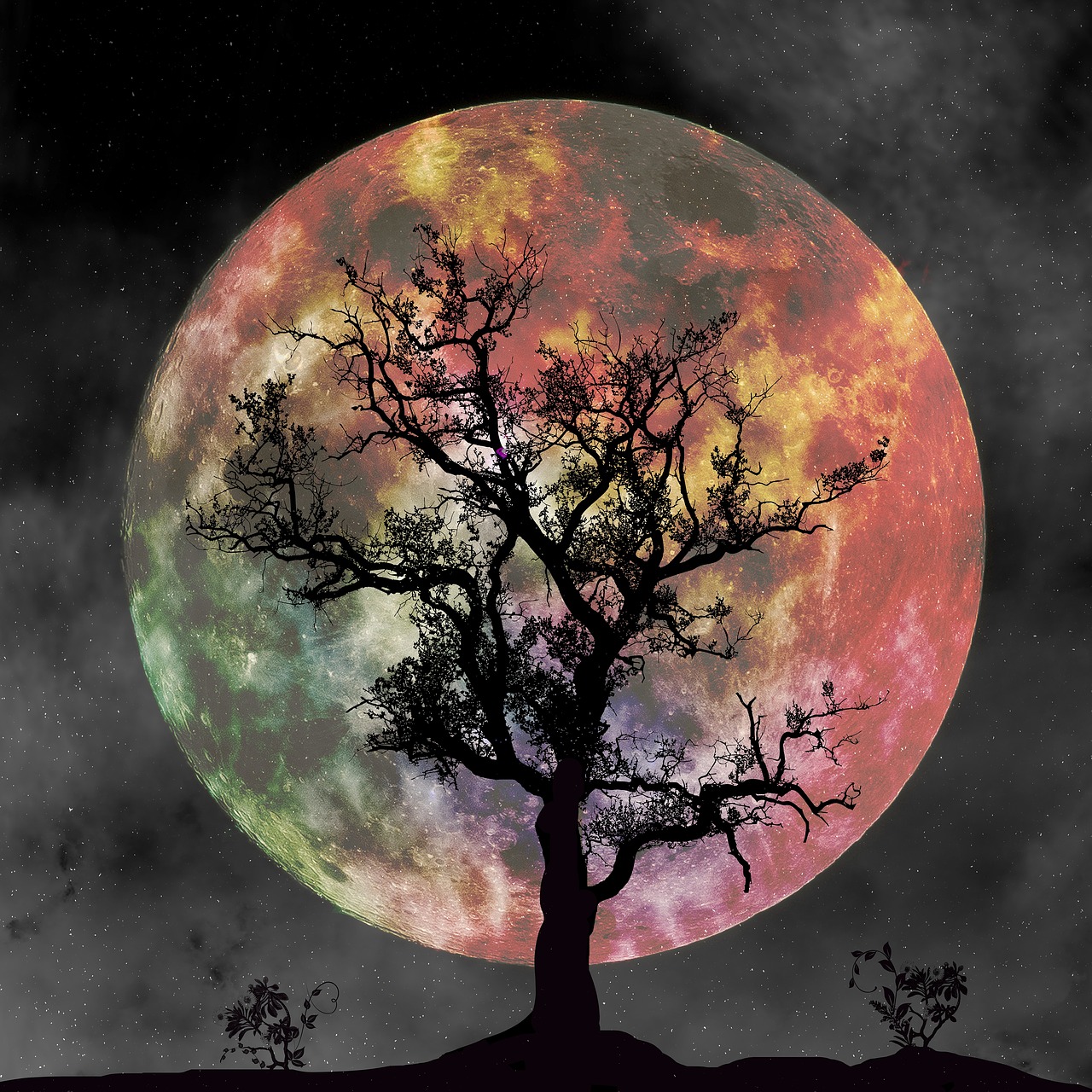 full moon  silhouette  tree free photo