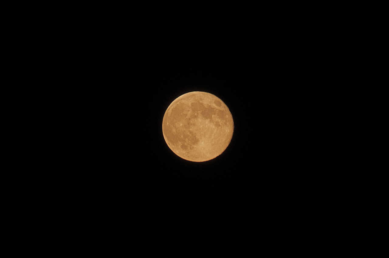 full moon  nature  night free photo