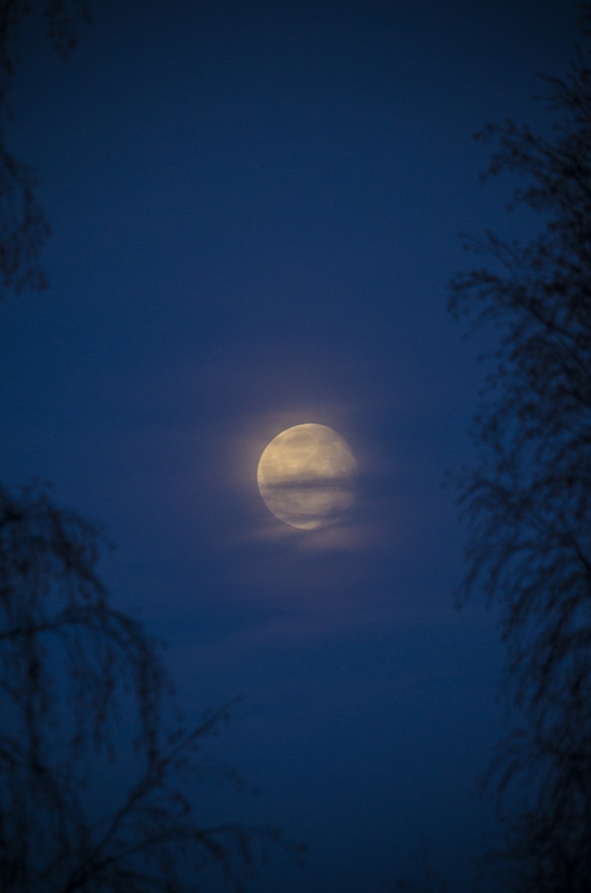 full moon moon moonlight free photo