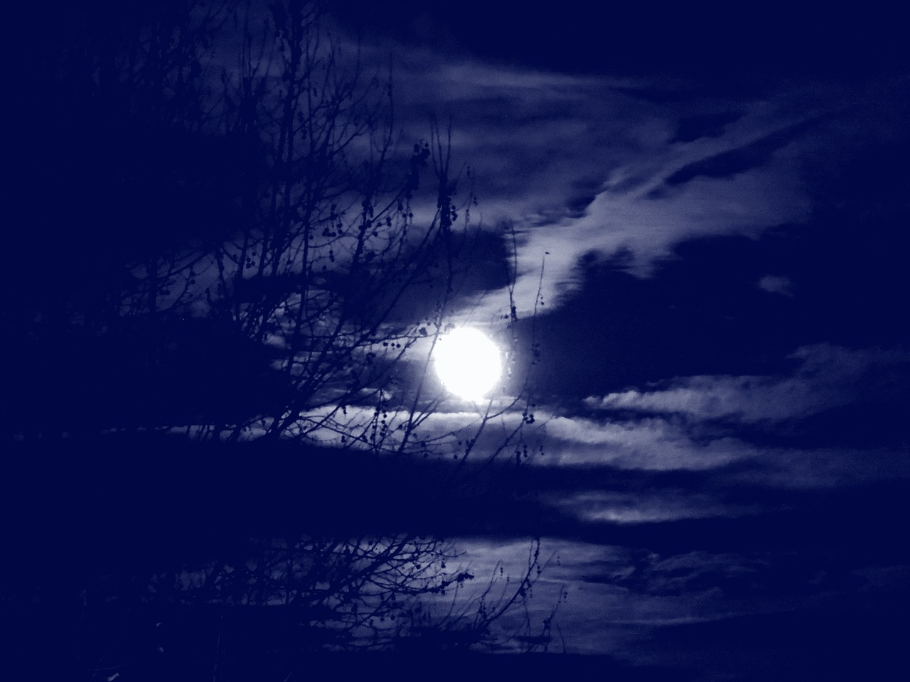 full moon clouds branches free photo