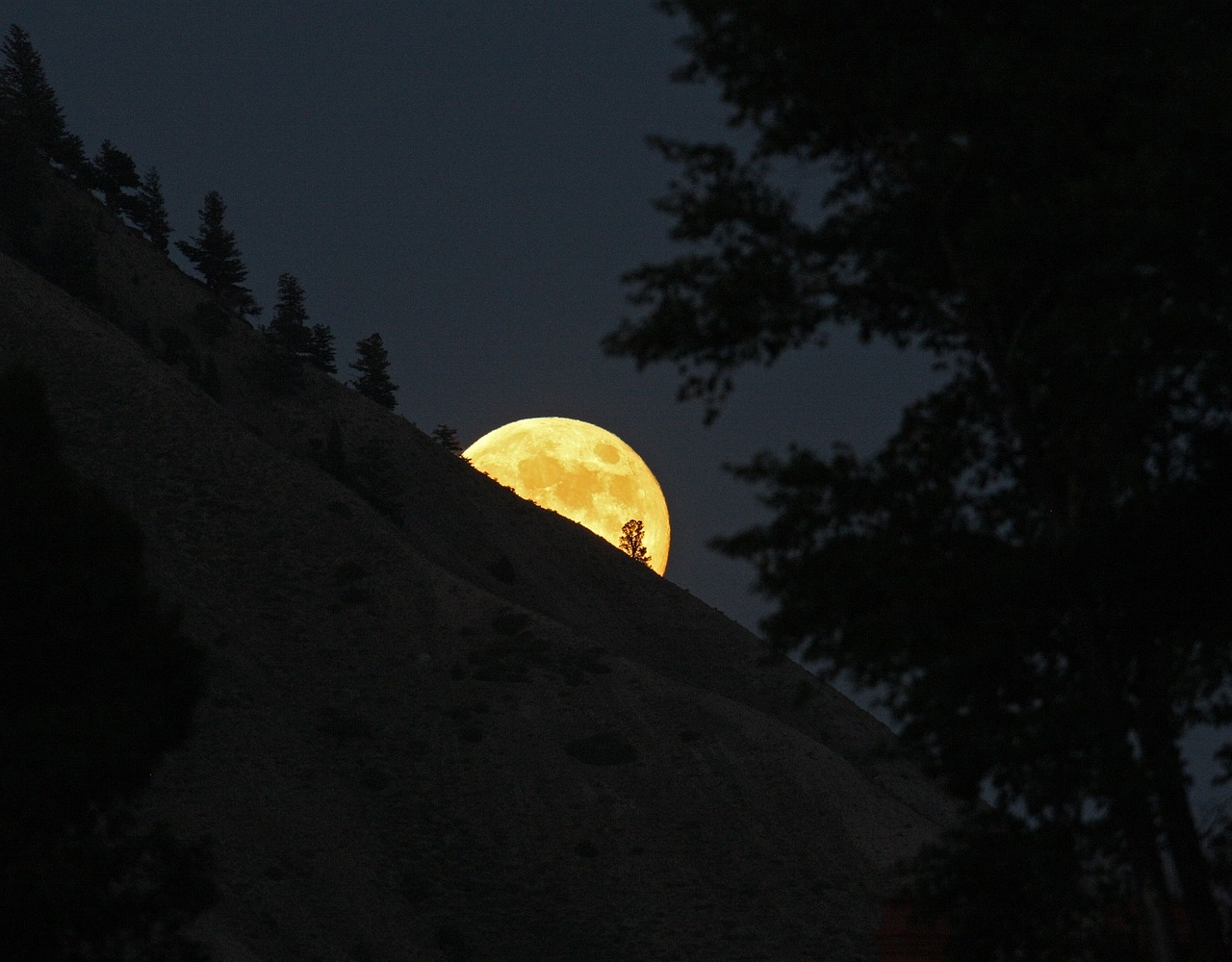 full moon rising night free photo