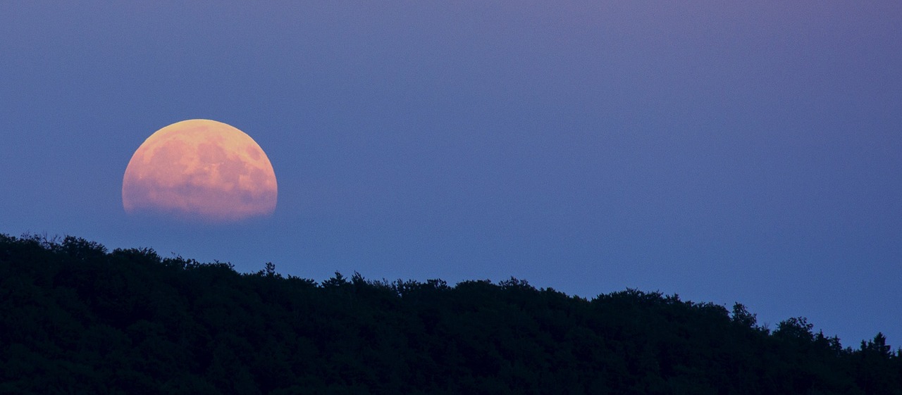 full moon super moon moonrise free photo