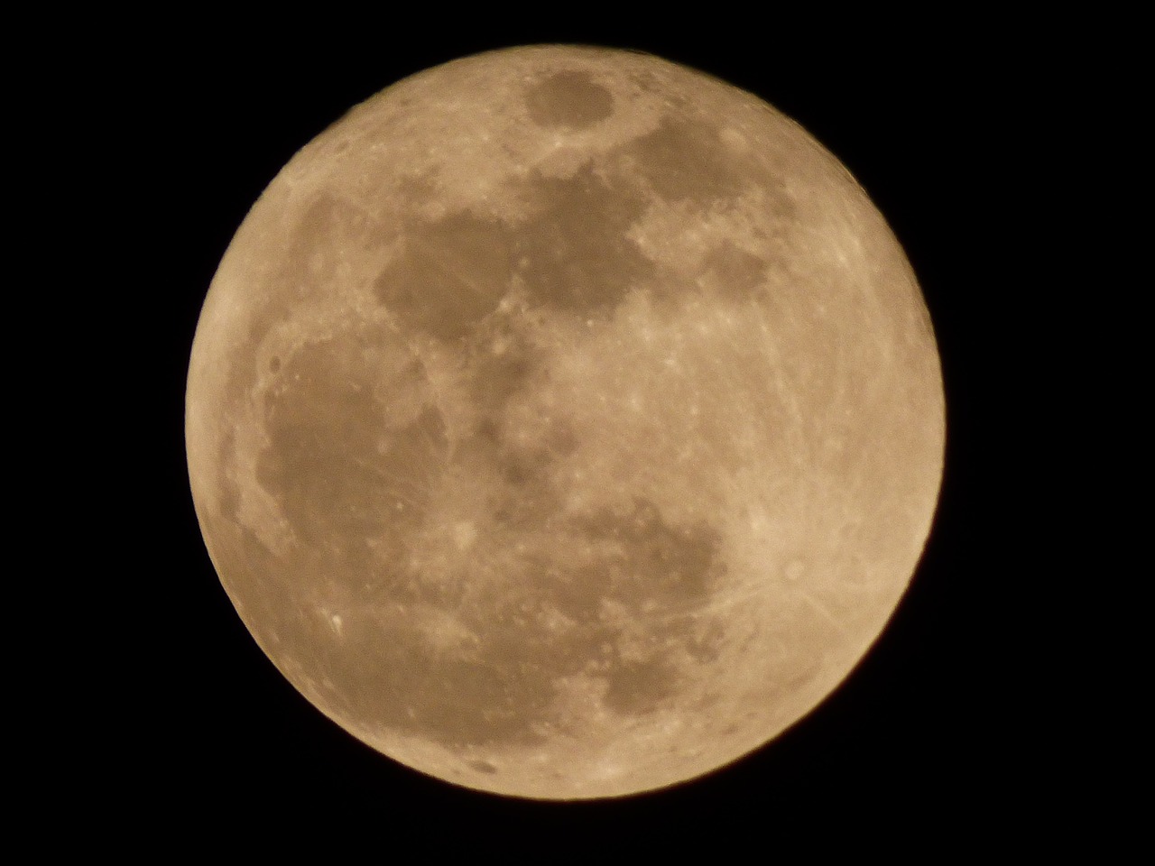 full moon rising night sky free photo