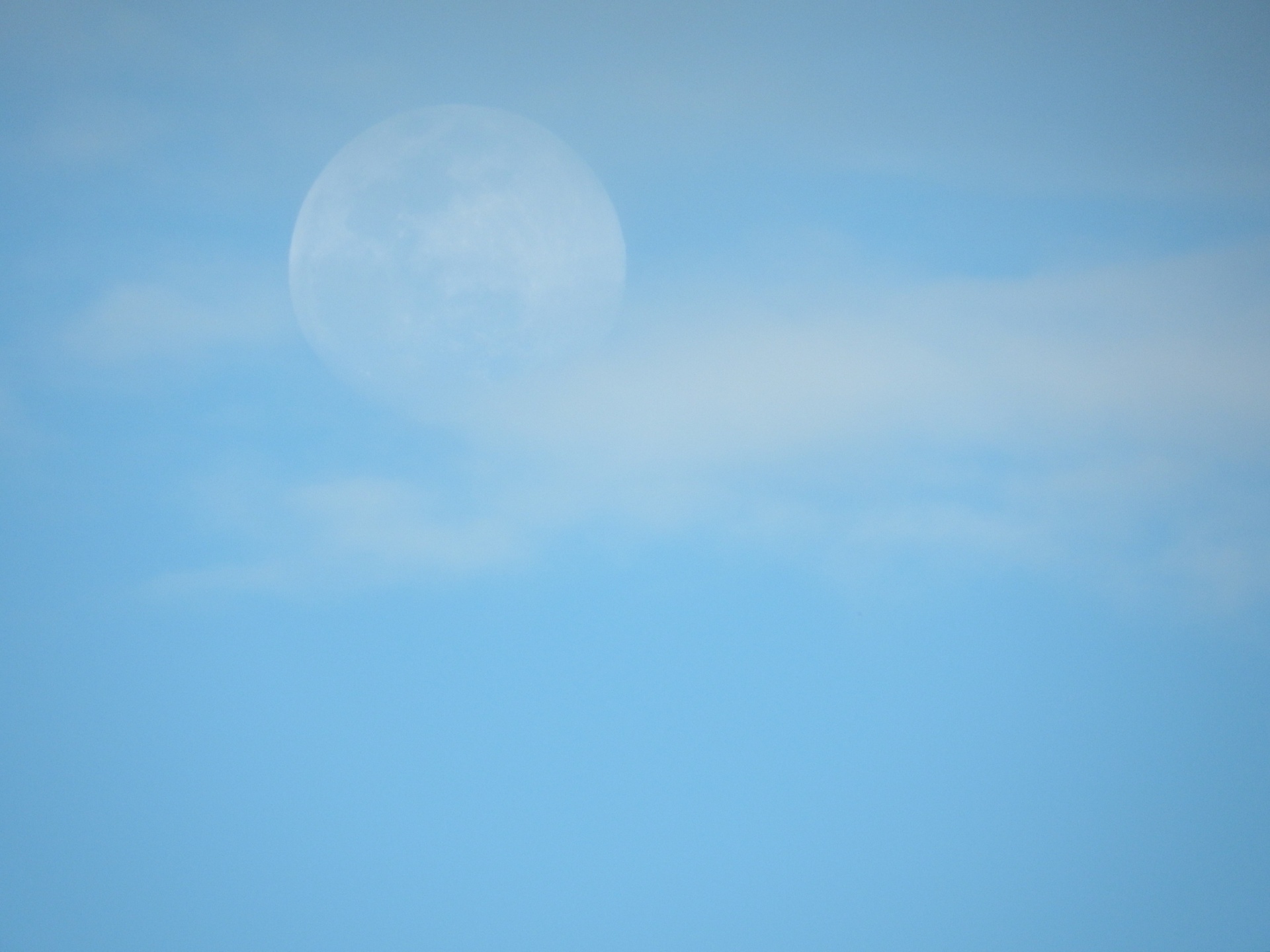moon full blue free photo