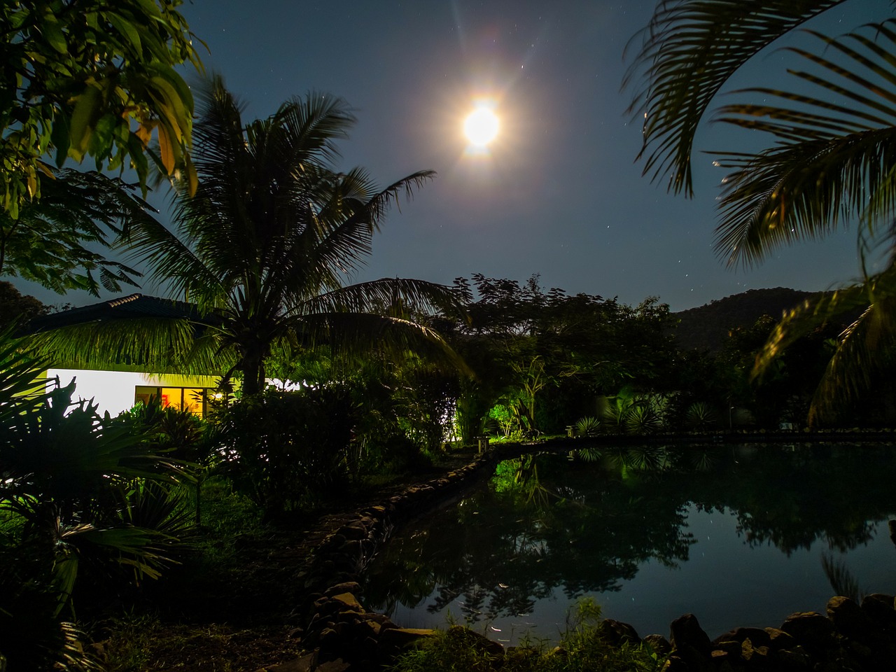 full moon night home pond free photo