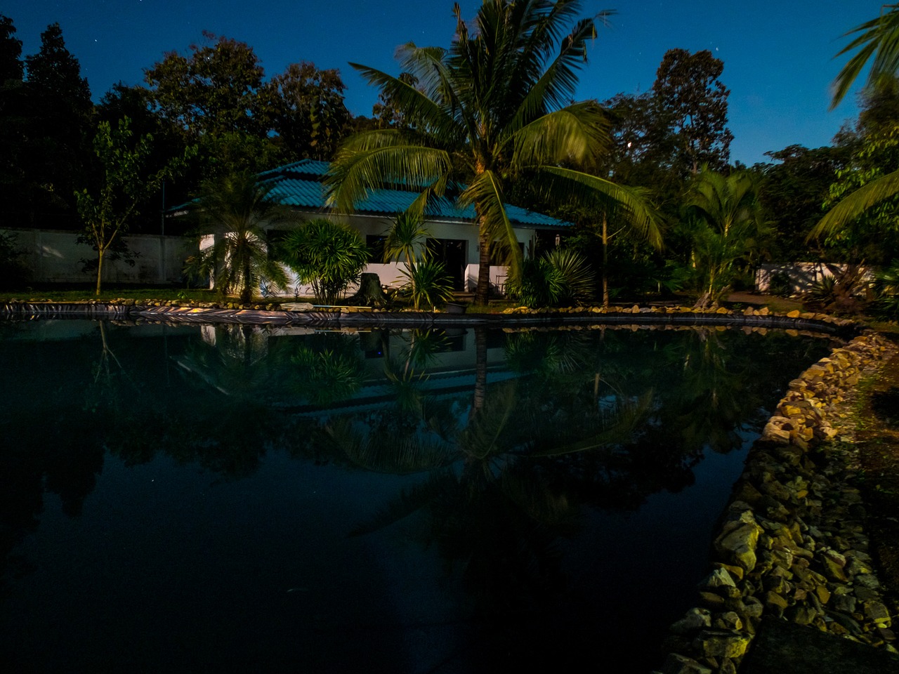 full moon night home pond free photo