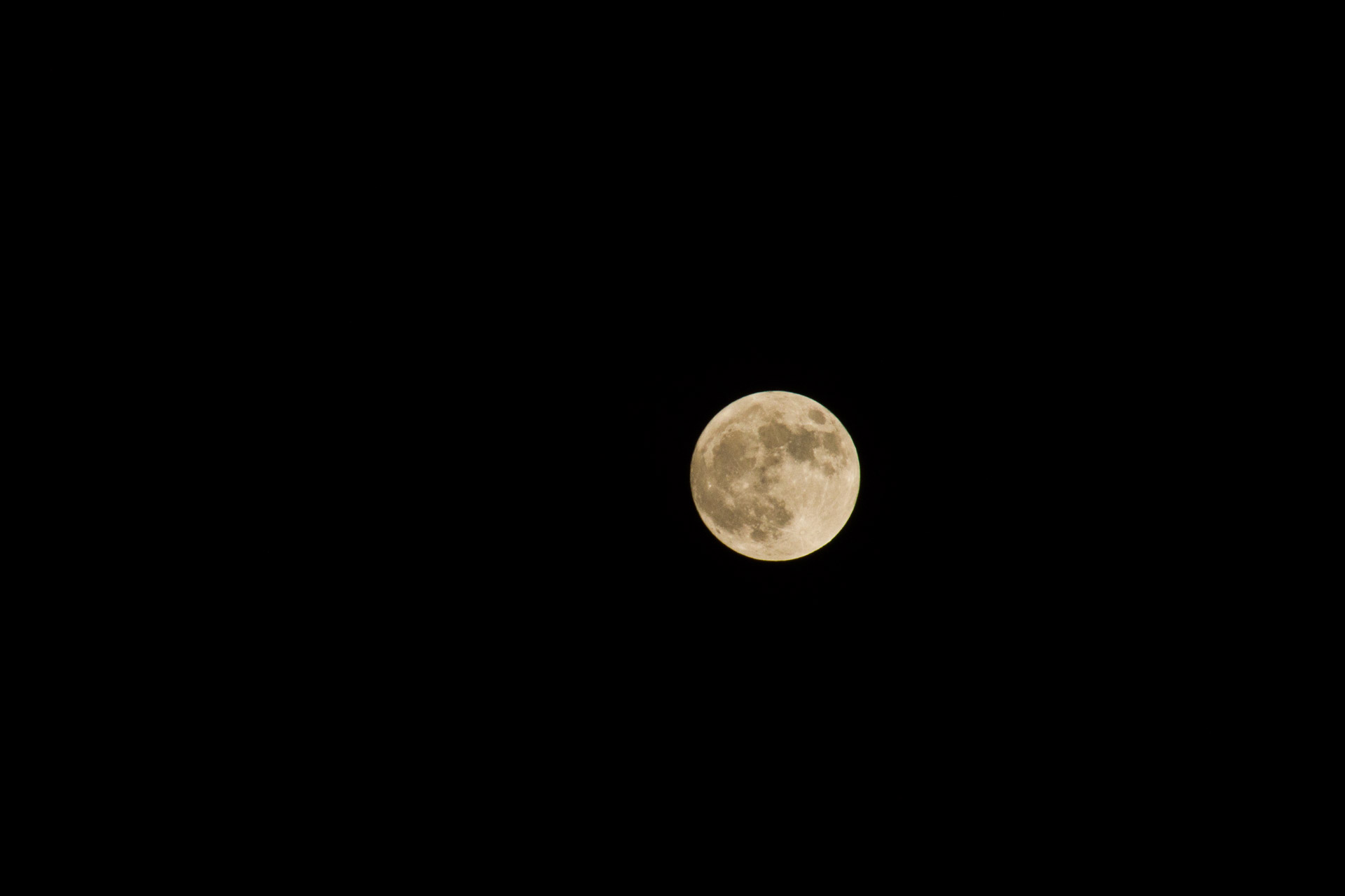 moon full night free photo