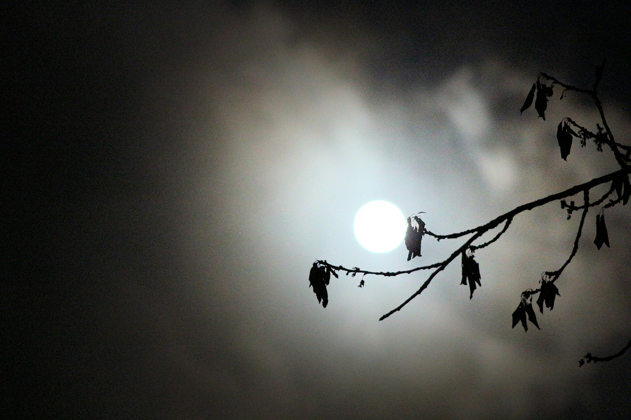 fullmoon make cloud free photo