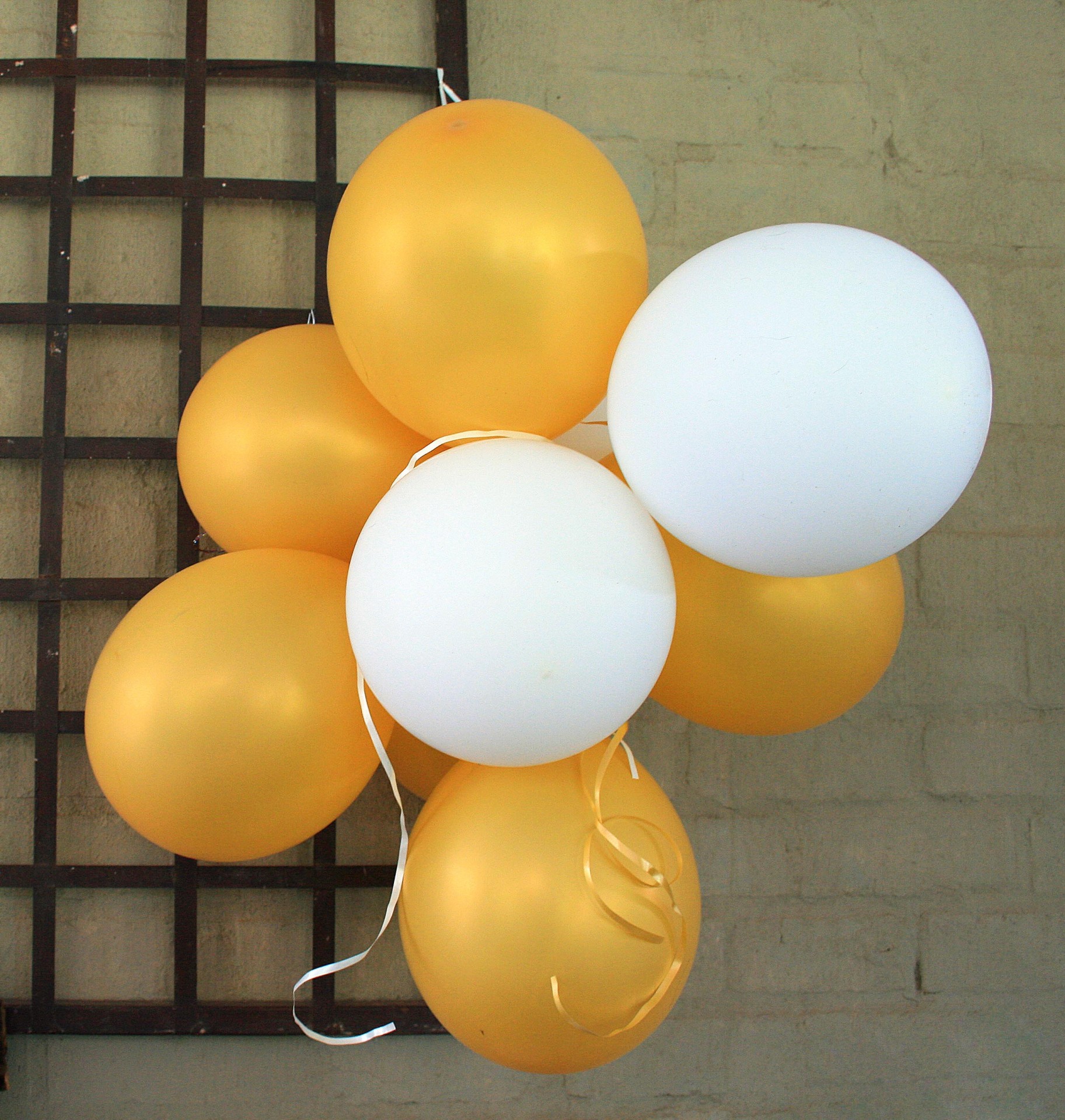 balloons yellow white free photo