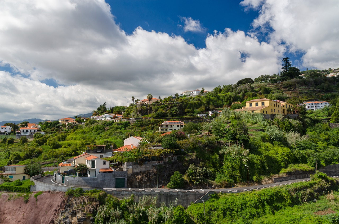 funchal madeira portugal free photo