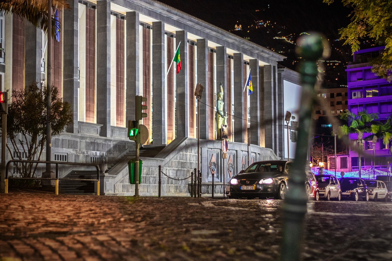 funchal  wood island  night free photo