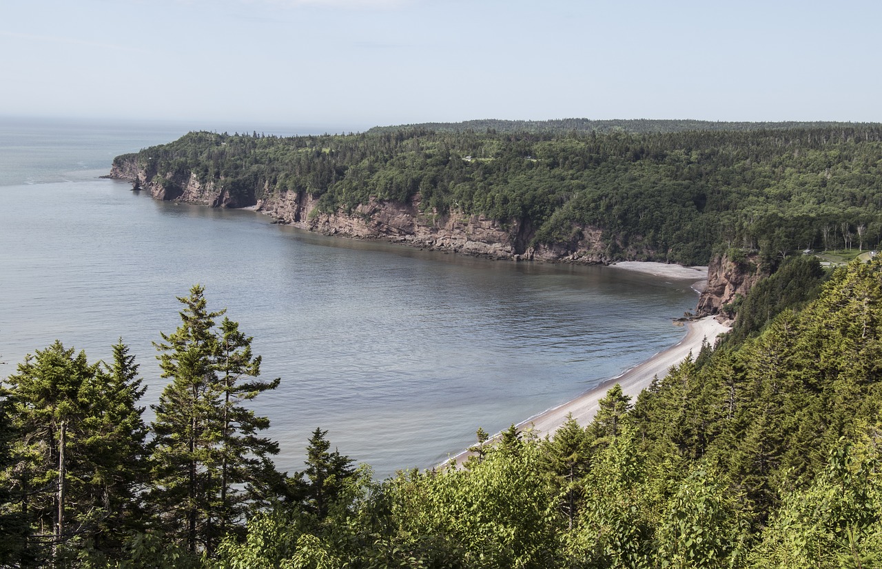 fundy coast new brunswick coast free photo