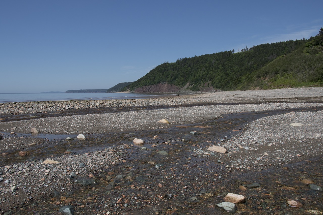 fundy coast new brunswick coast free photo