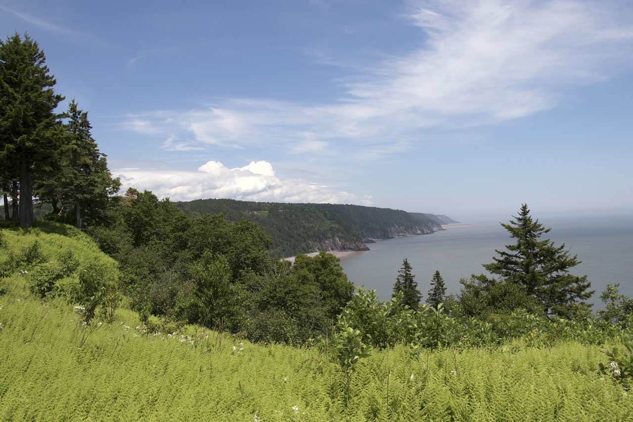 fundy coast new brunswick coast free photo