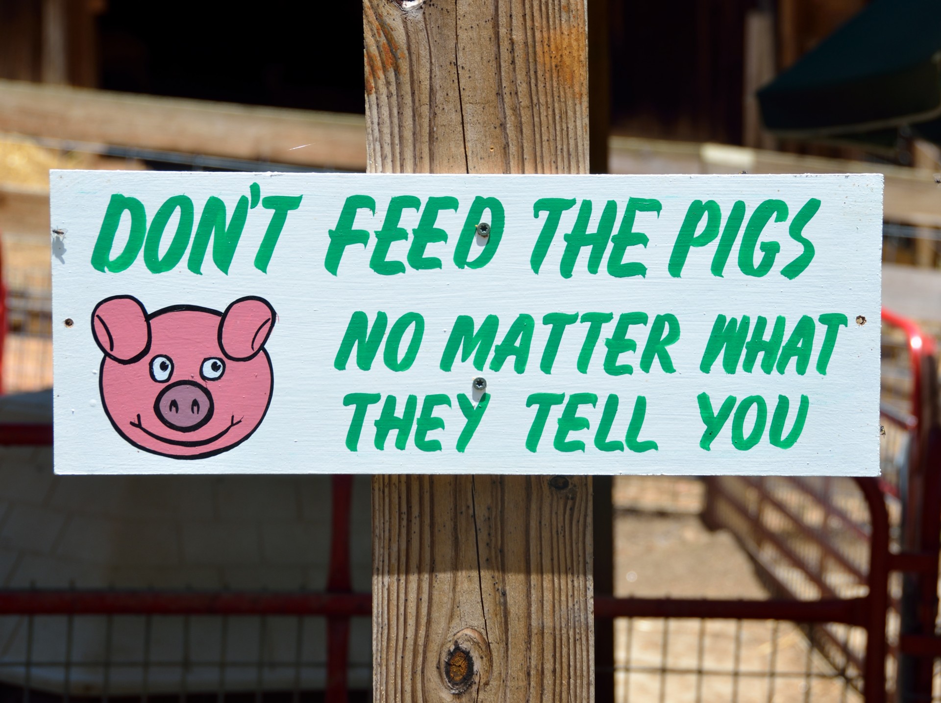 funny sign petting zoo free photo