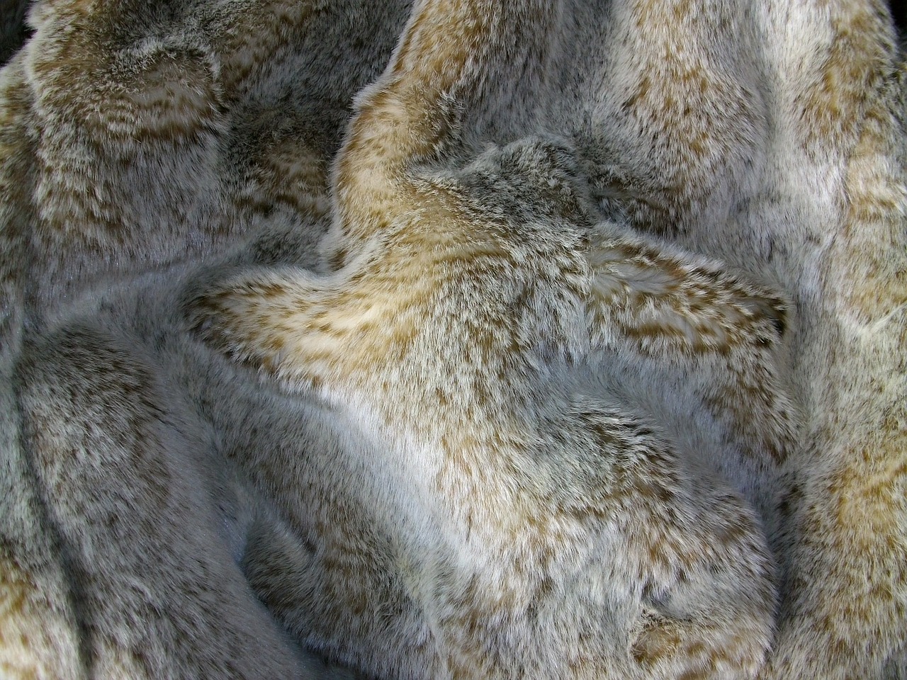 fur material texture free photo