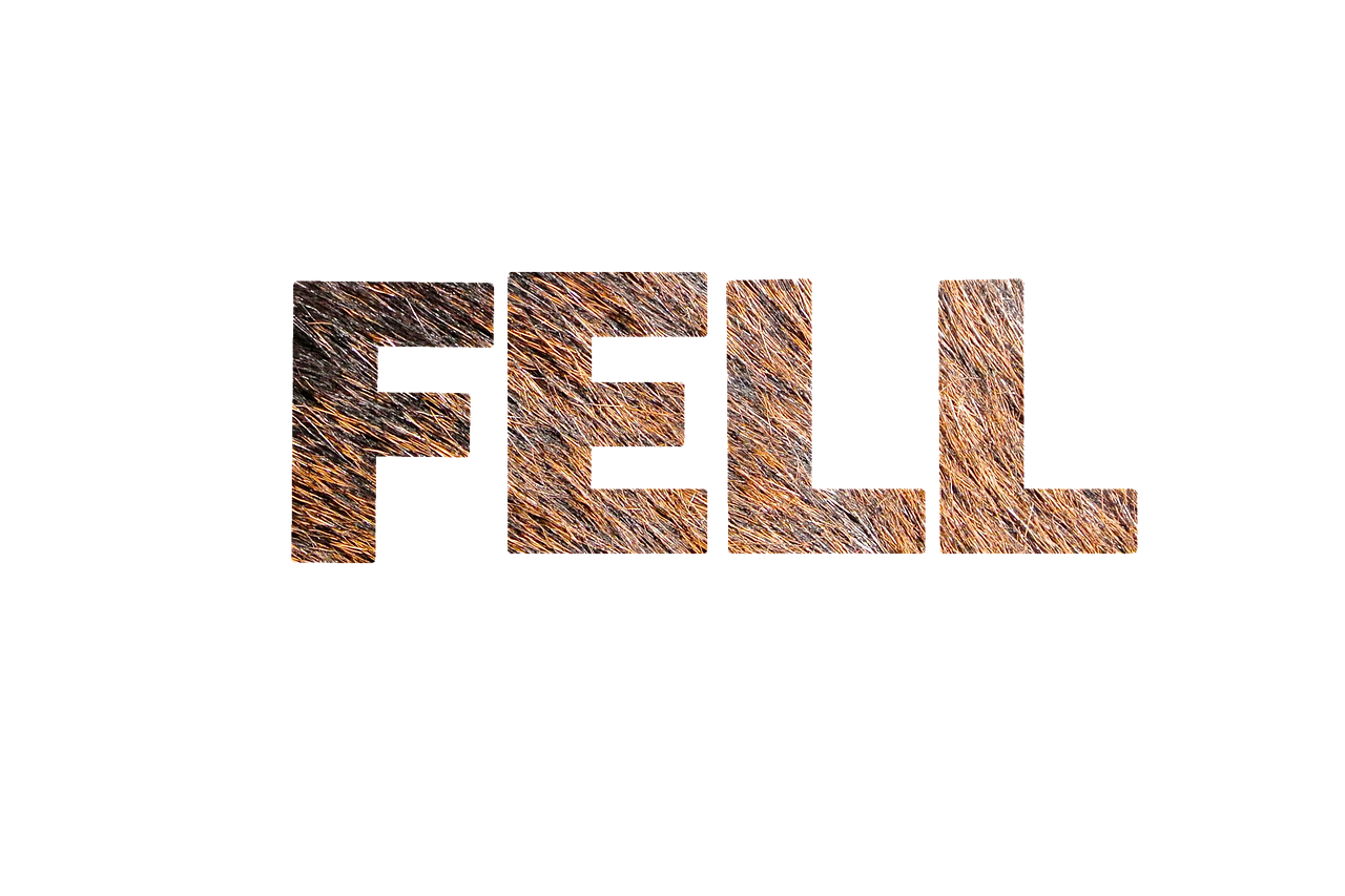 fur texture lettering free photo