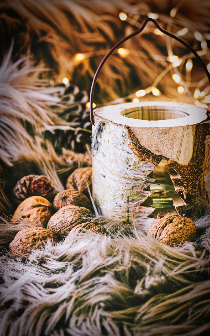 fur  lights  pine cones free photo