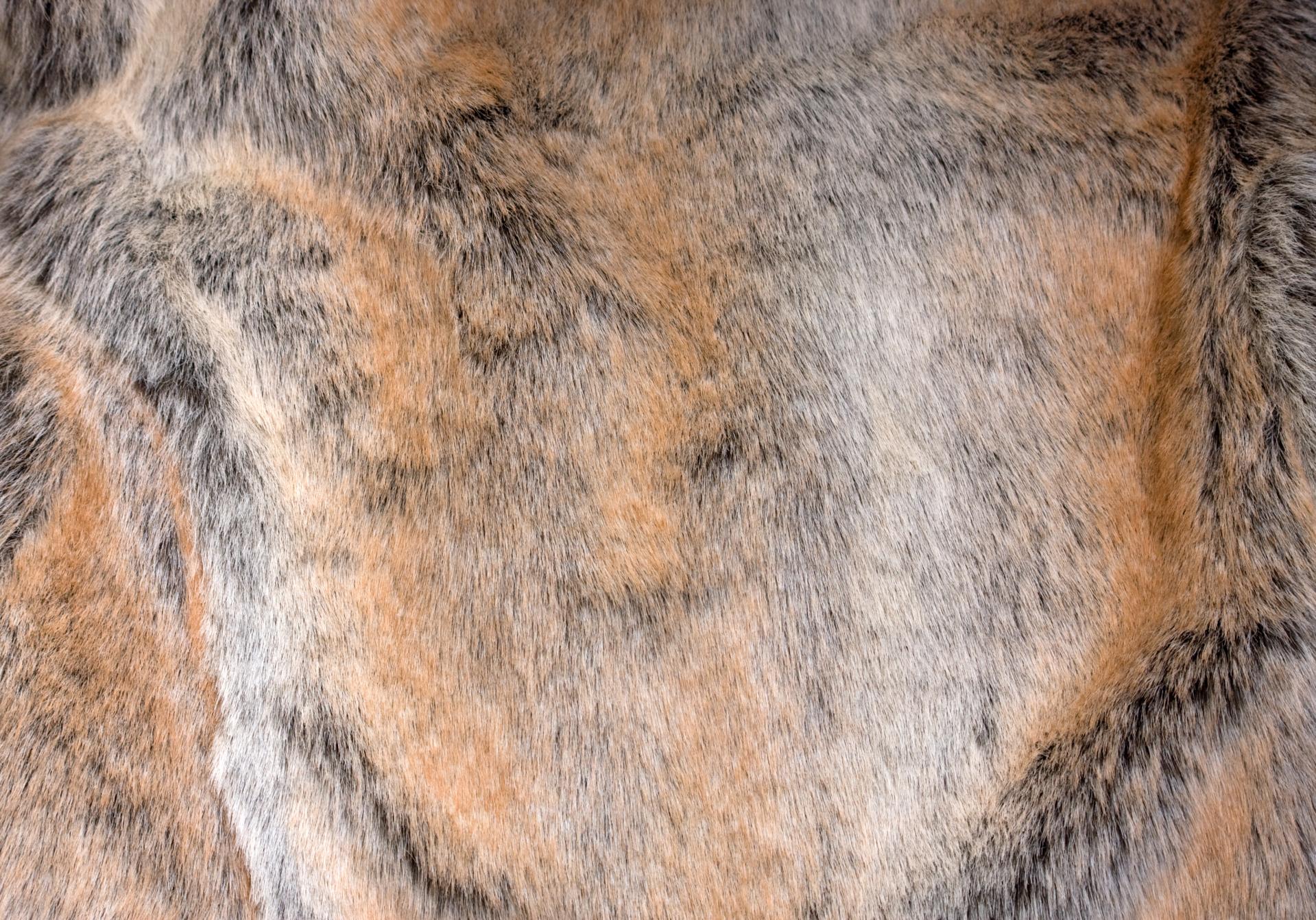 fur texture background free photo