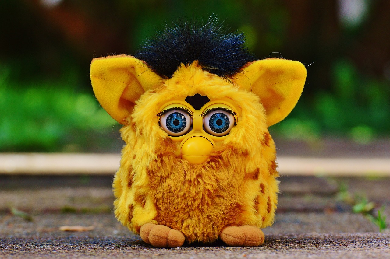 furby cute blue eye free photo