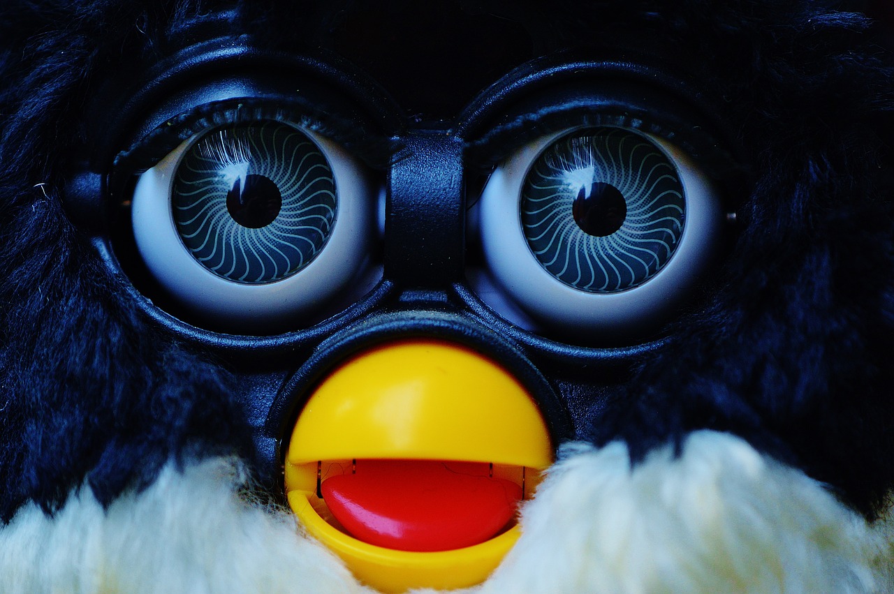 furby cute blue eye free photo