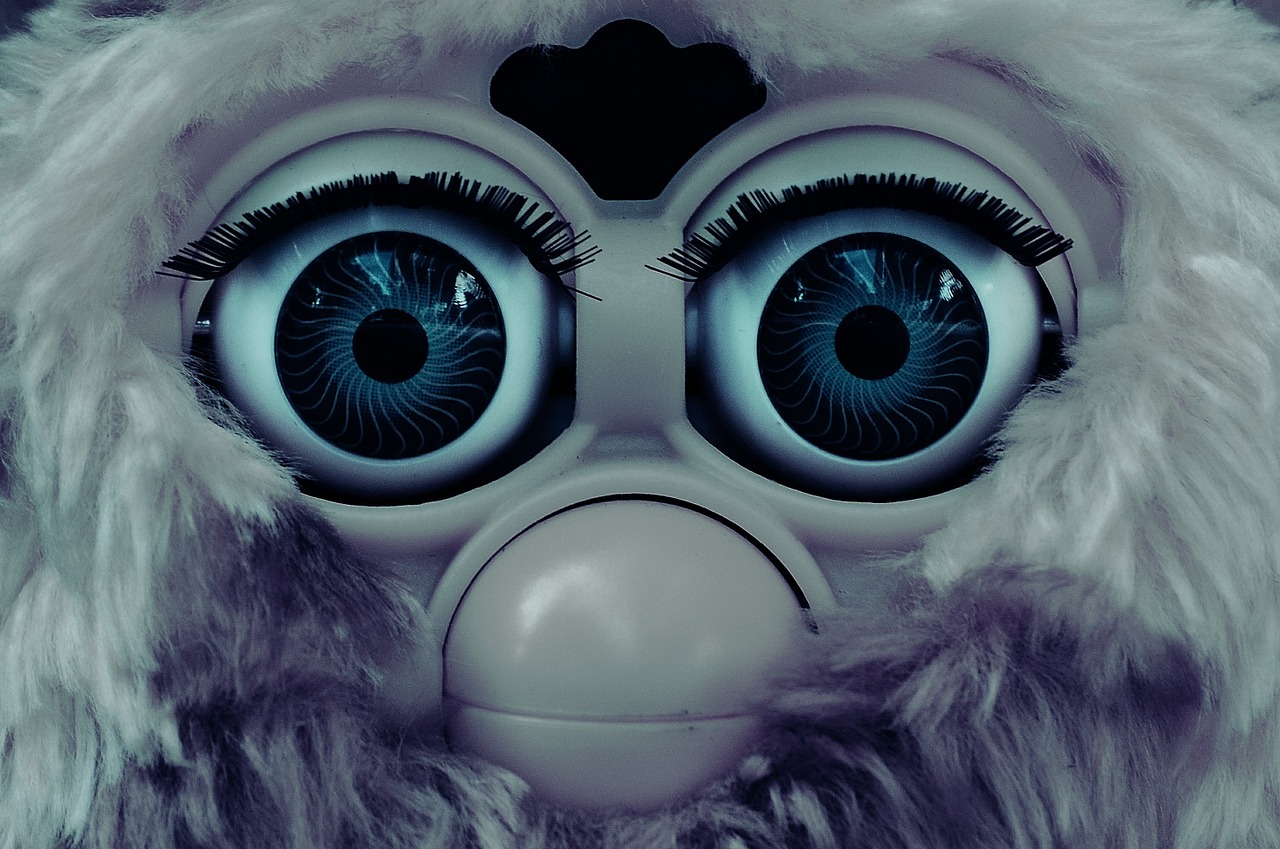 furby cute blue eye free photo