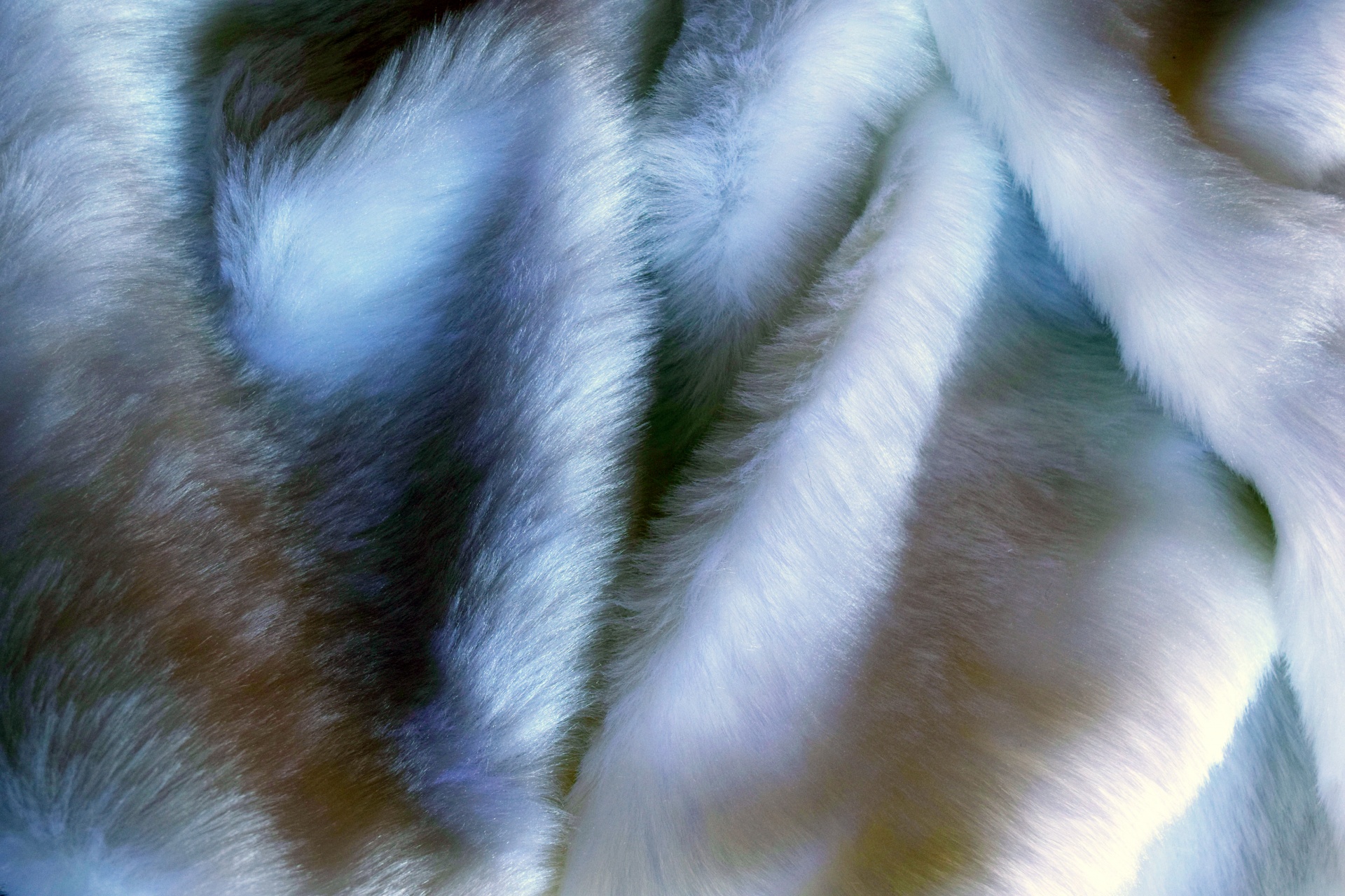 fur texture silken free photo