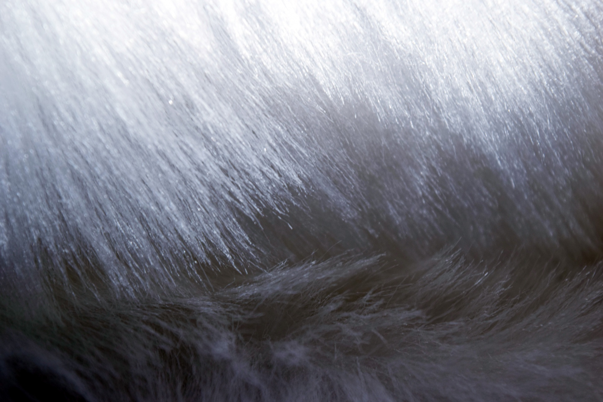 fur texture silken free photo