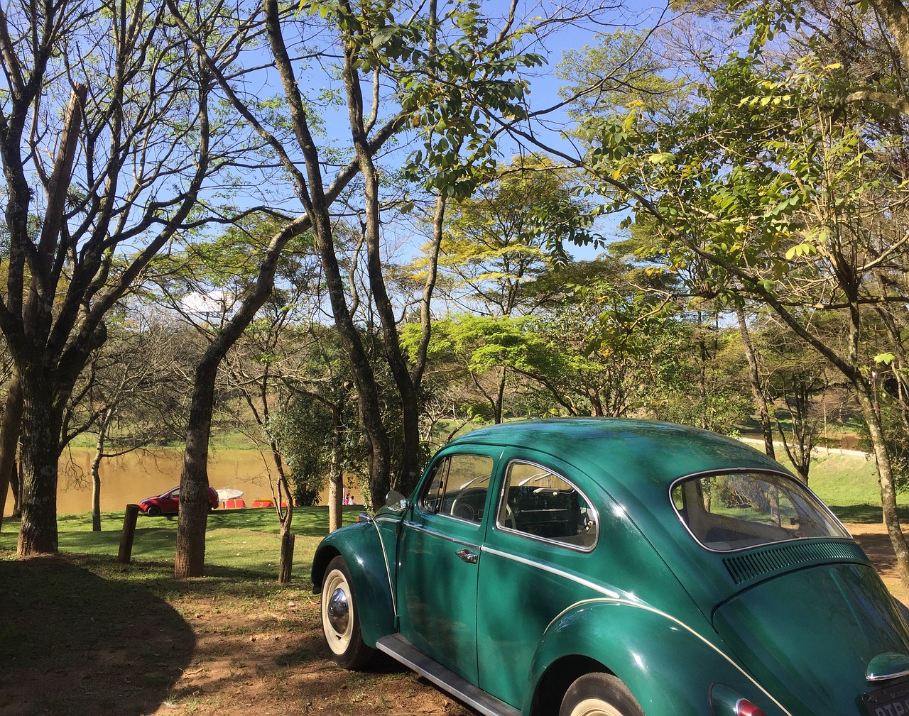 fusca nature landscape free photo