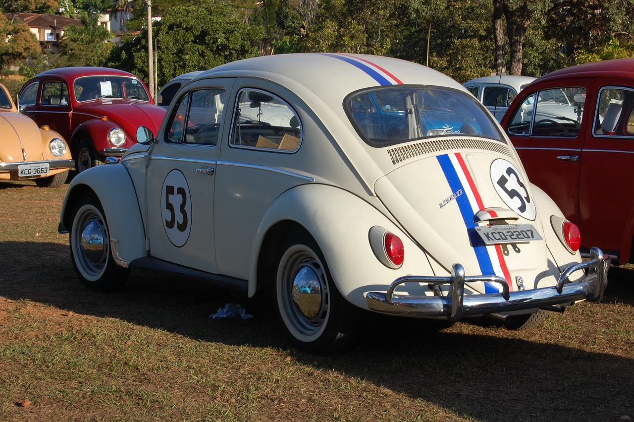 fusca herbi car free photo