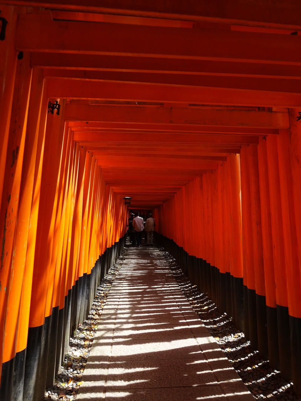 fushimi inari-taisha shrine senbon-torii kyoto free photo
