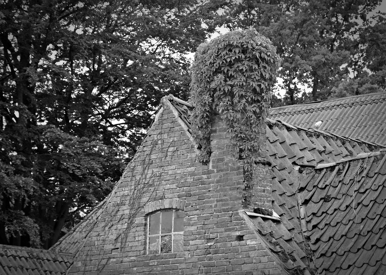 gable old house roof free photo