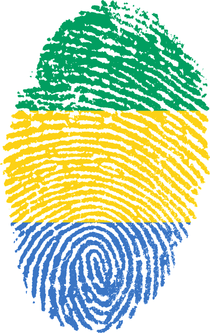 gabon flag fingerprint free photo