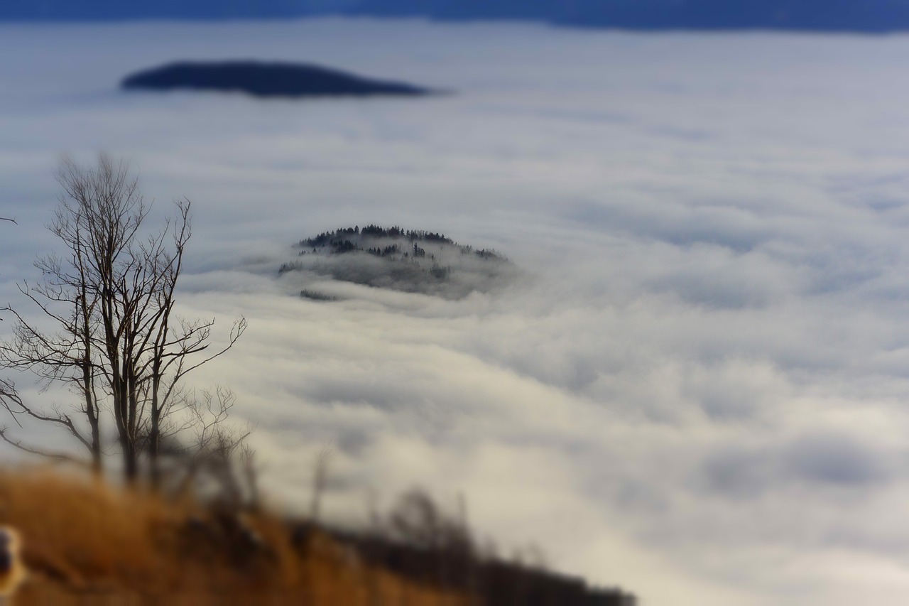 gaisberg salzburg austria free photo