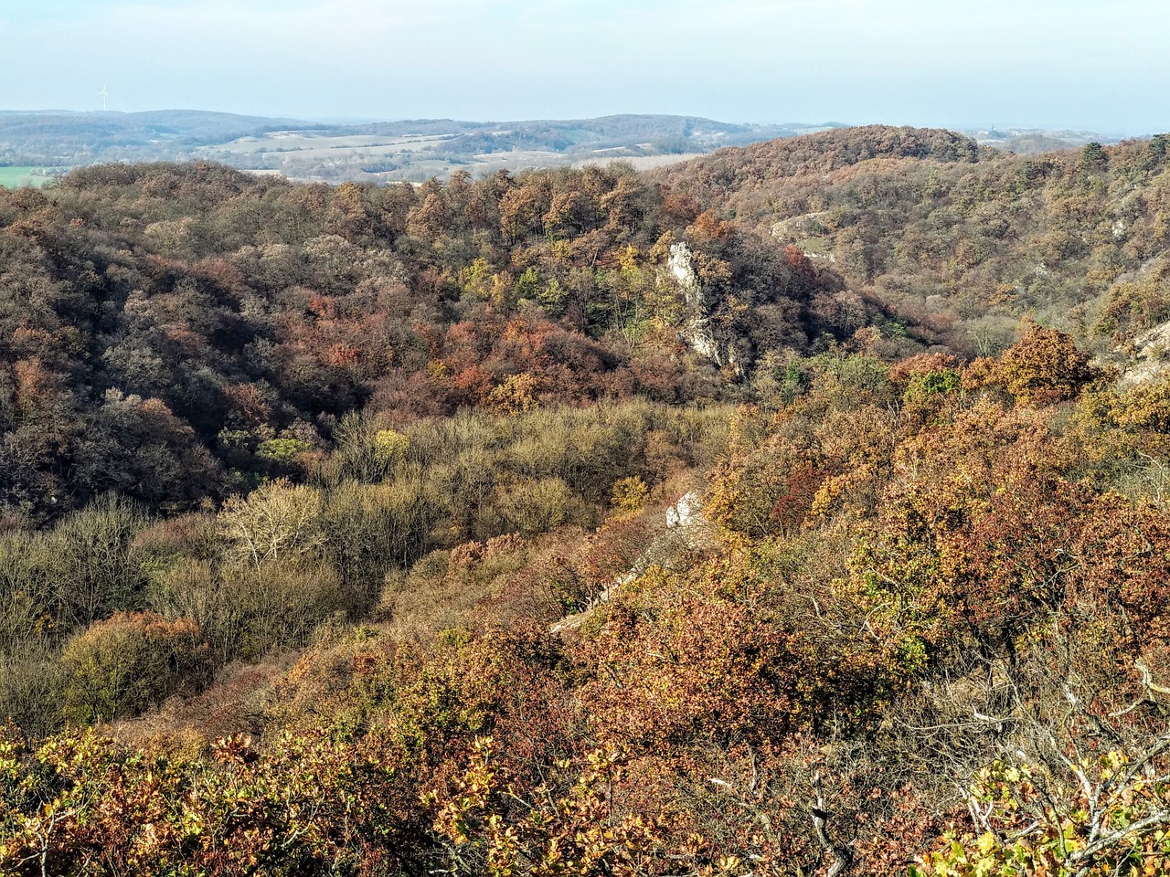 gaja  gorge  nature free photo