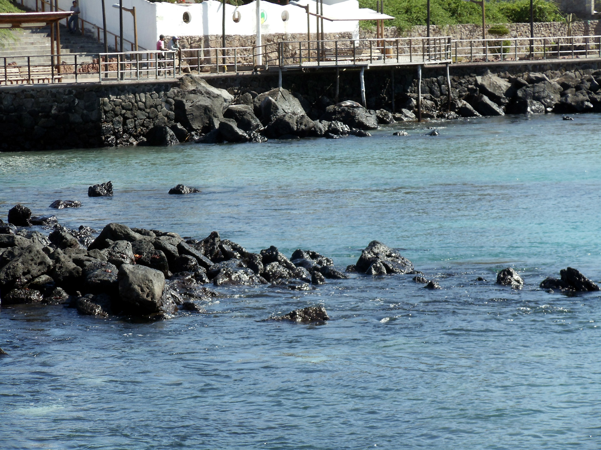 bay view galapagos free photo