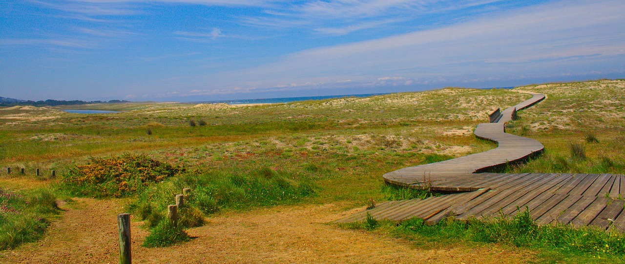 galicia  beach  sea free photo