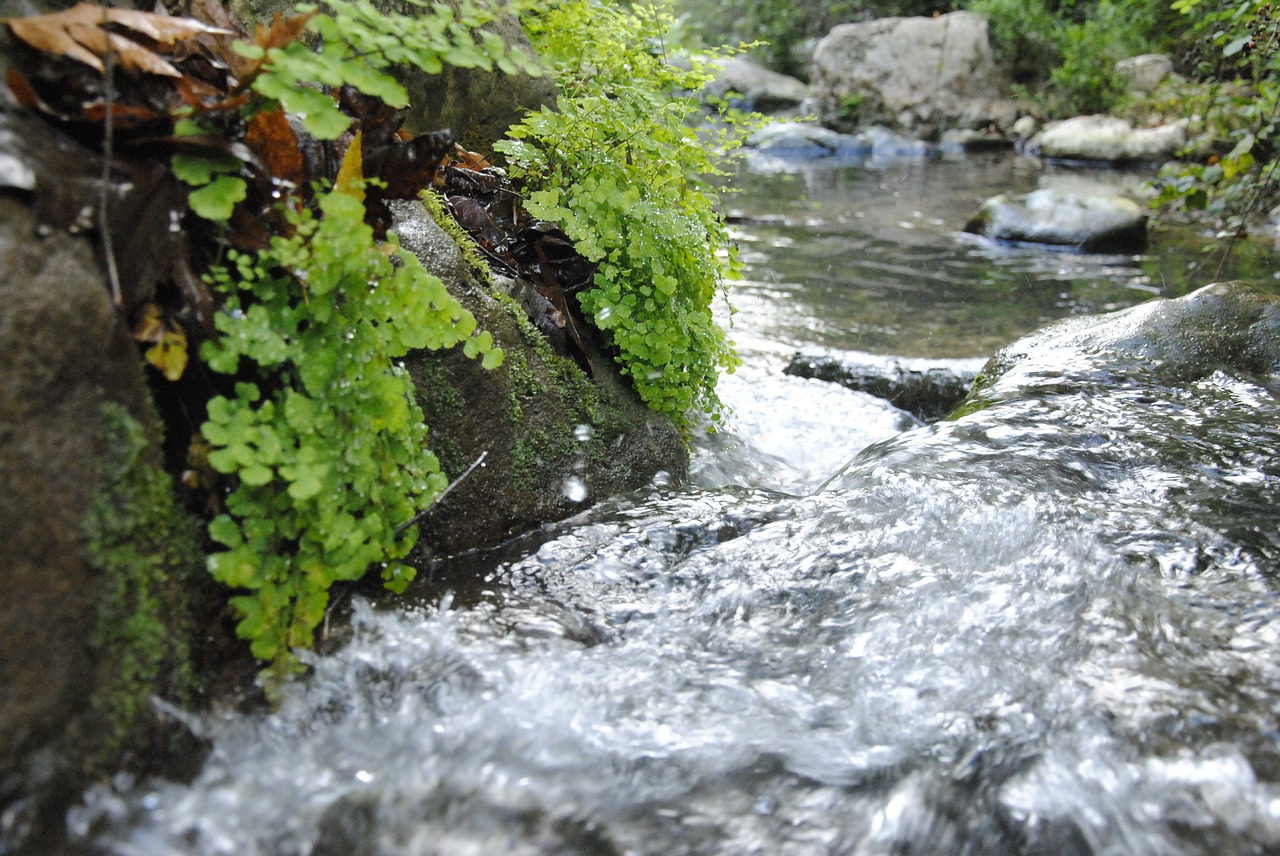 galilee water mountain free photo