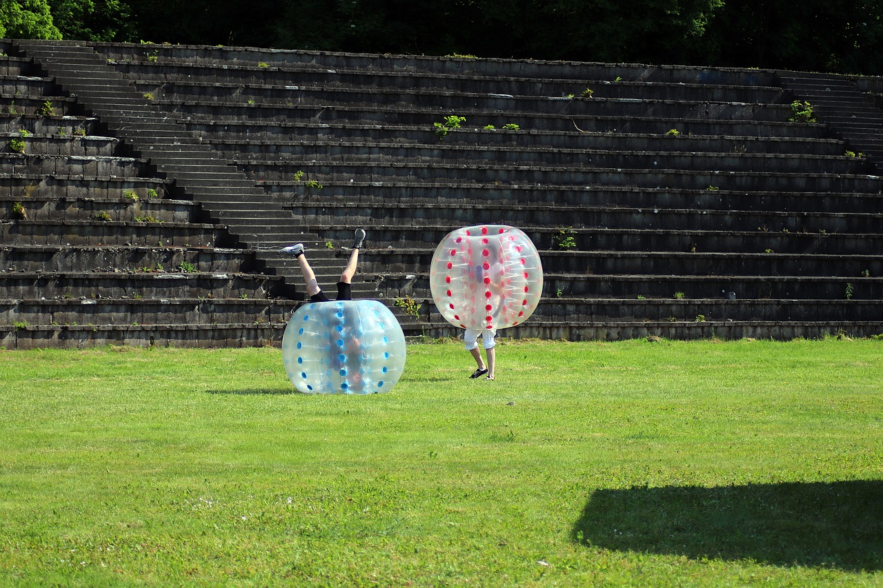 game  children  field free photo