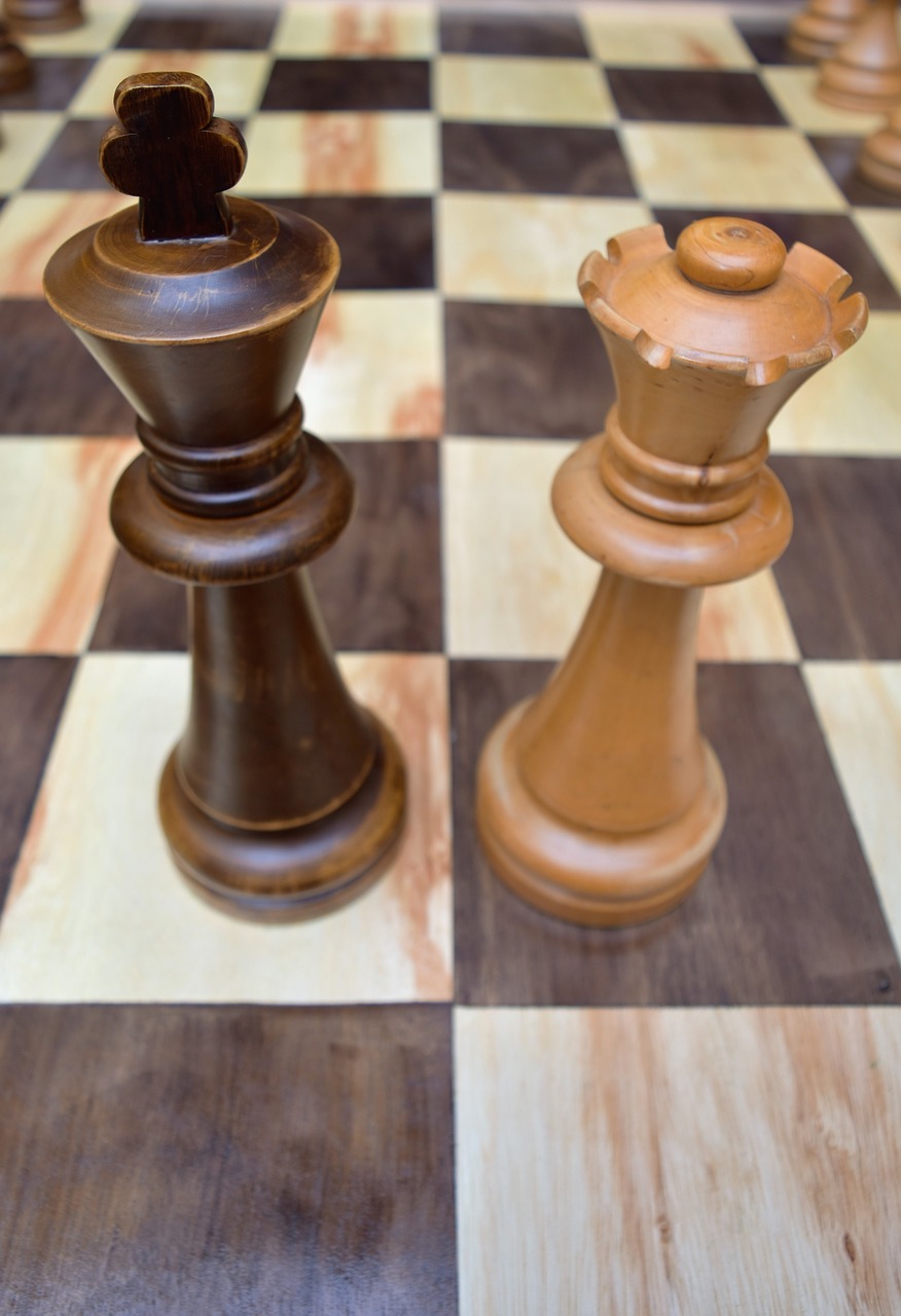 games king chess free photo