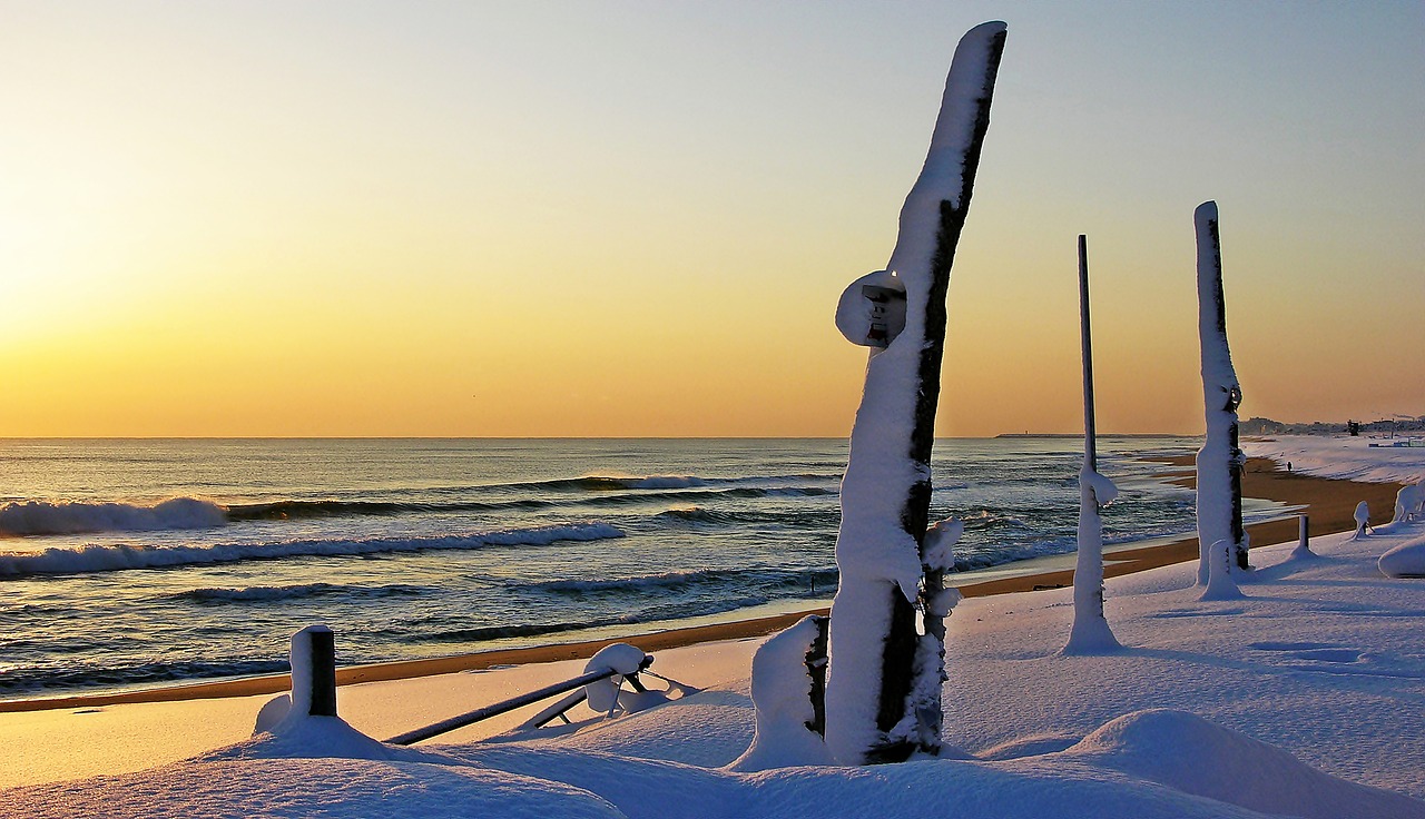 gangneung beach nature free photo