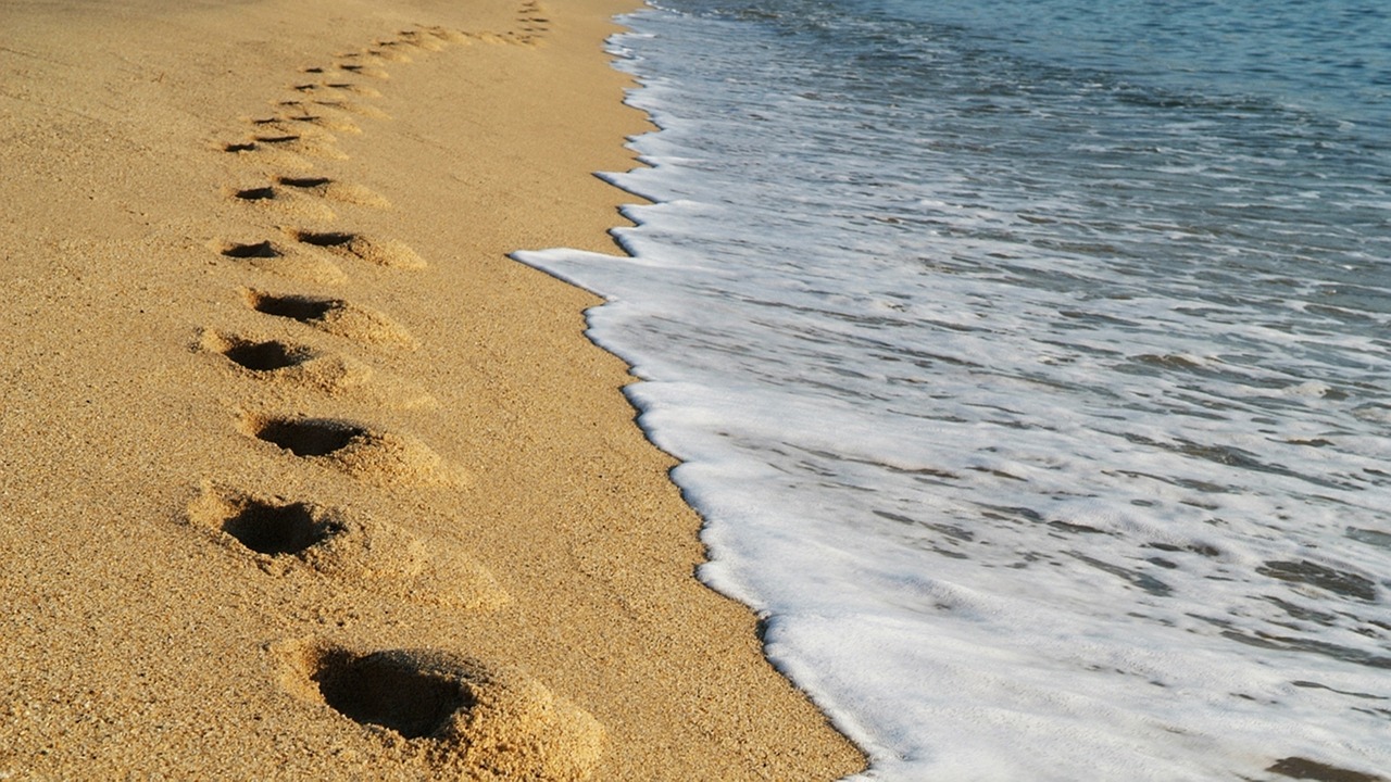 gangneung japan sea landscape free photo