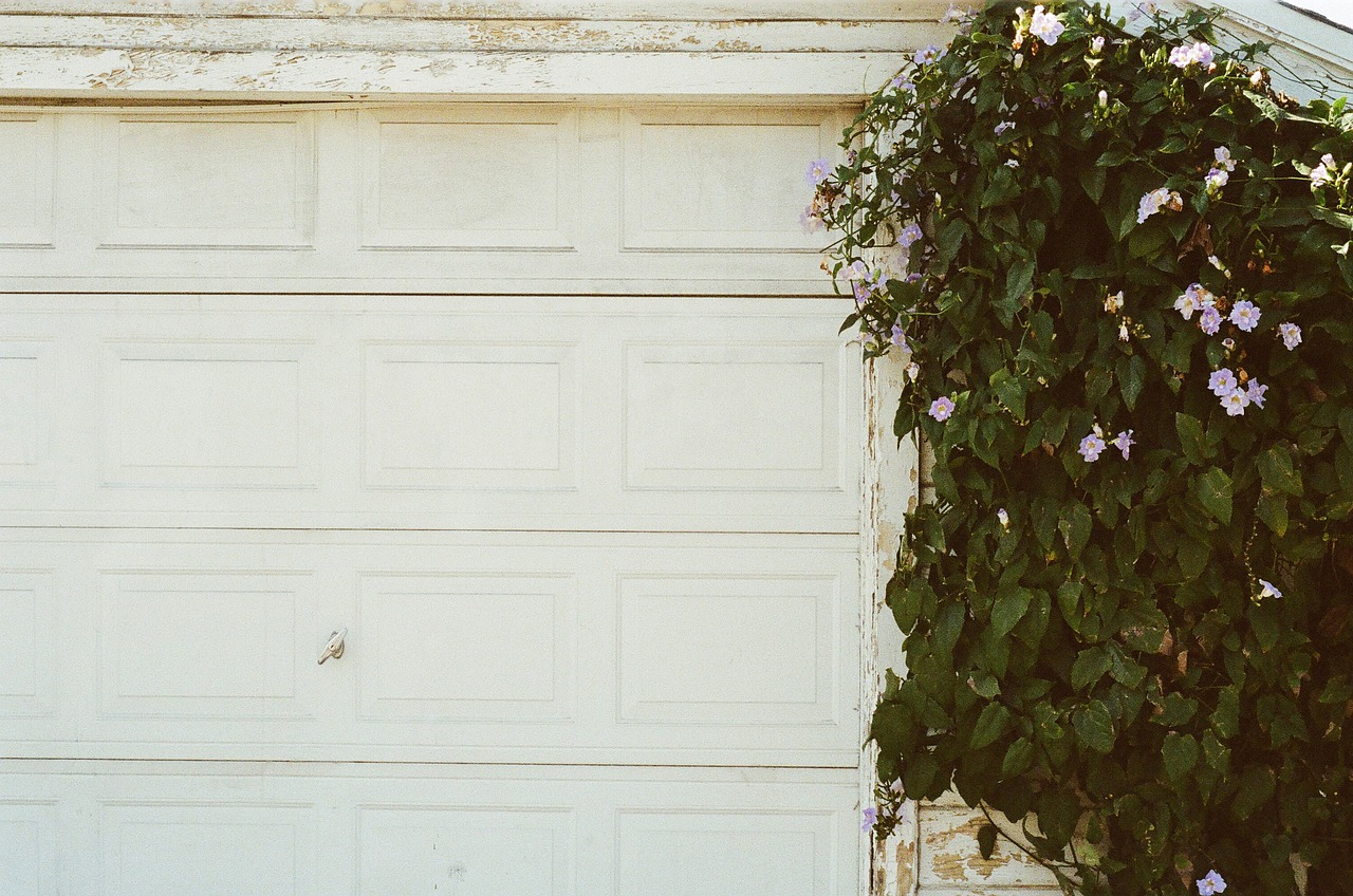 garage door white plant free photo